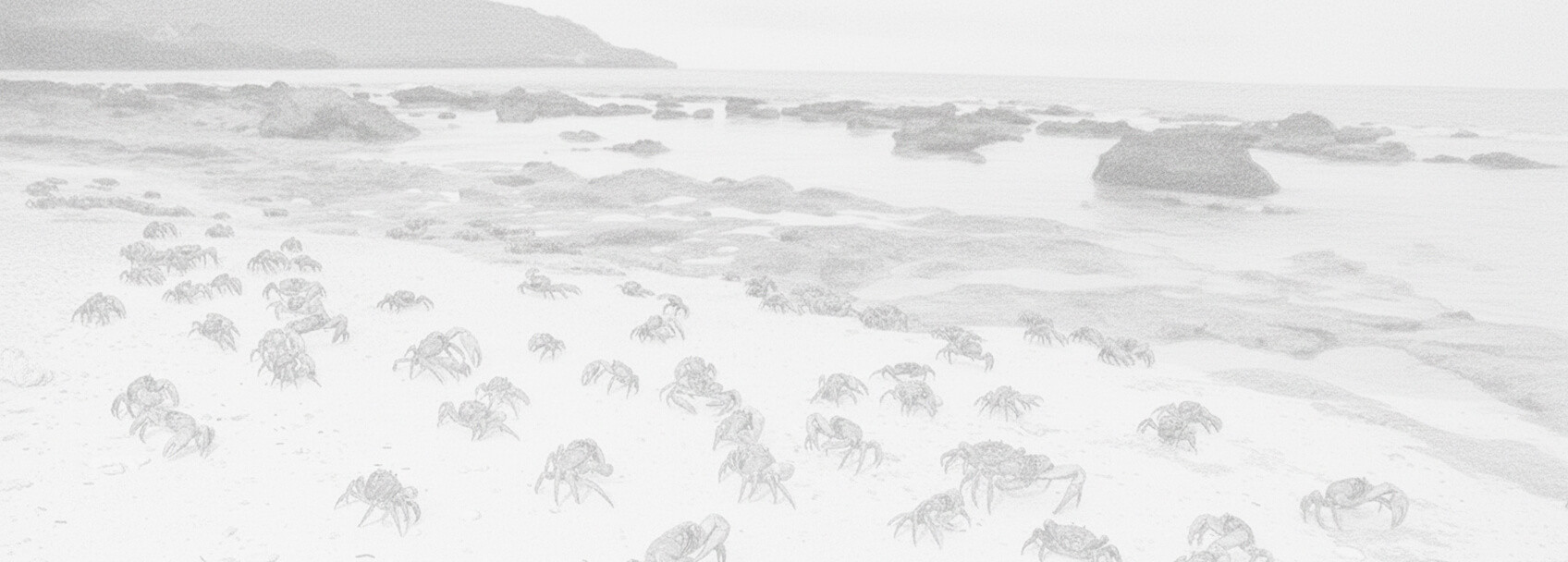 Đơn xin Đảo Christmas visa và yêu cầu